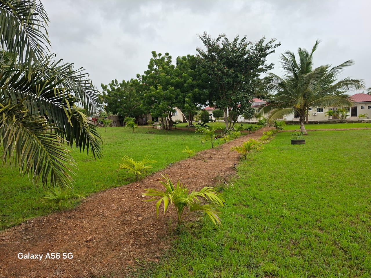 WhatsApp Image 2026-04-01 at 9.52.55 AM (4)