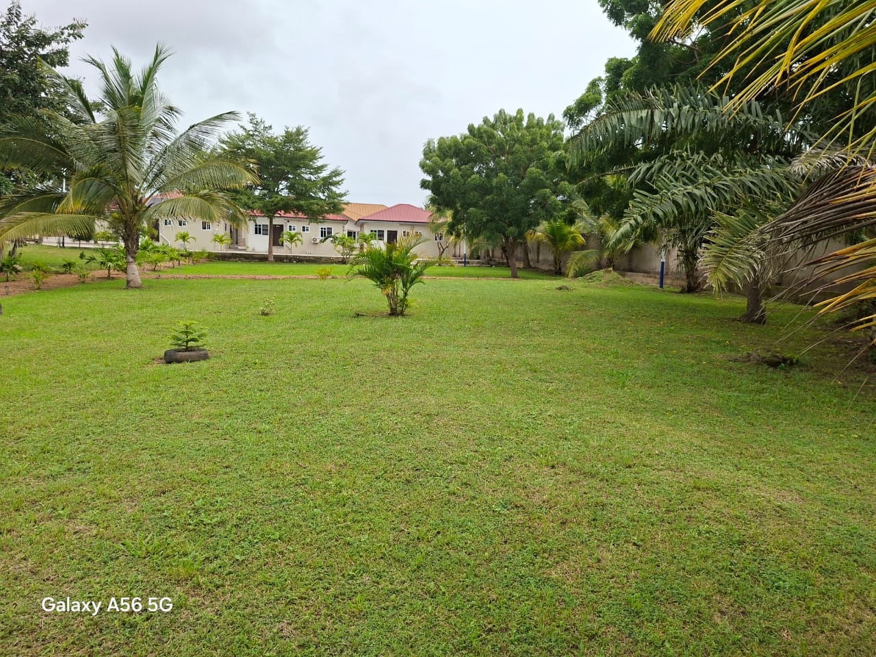 WhatsApp Image 2026-04-01 at 9.52.56 AM (3)